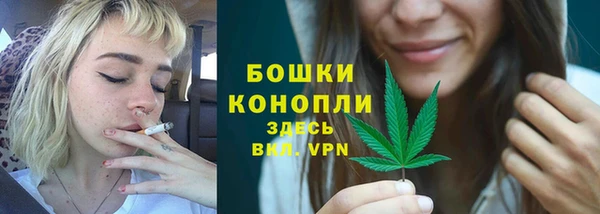 гашик Каменка