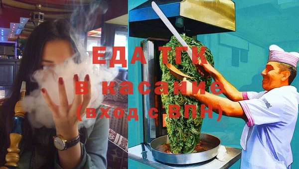 гашик Каменка