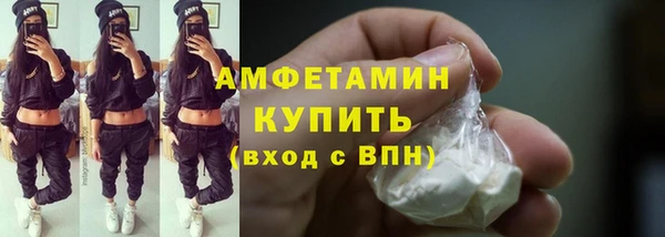 гашик Каменка