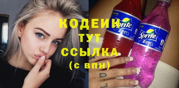 гашик Каменка