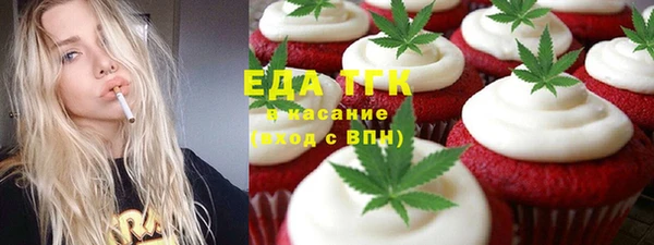 гашик Каменка