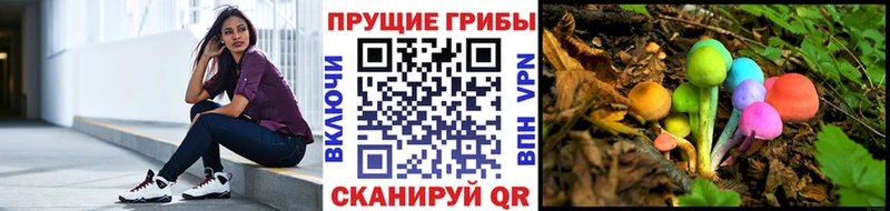 Галлюциногенные грибы ЛСД  Купить где  Ишим 